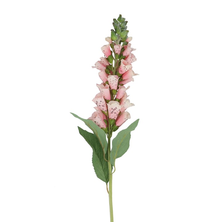 gisela graham Stem - Light Pink Foxglove