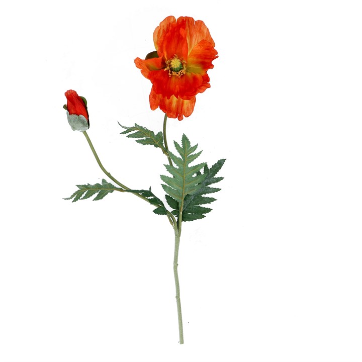 gisela graham Stem - Orange Poppy