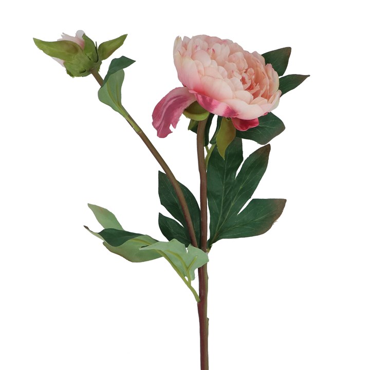 gisela graham Stem - Pale Pink Peony w Bud