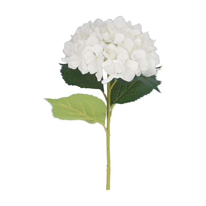 gisela graham Stem - White Hydrangea