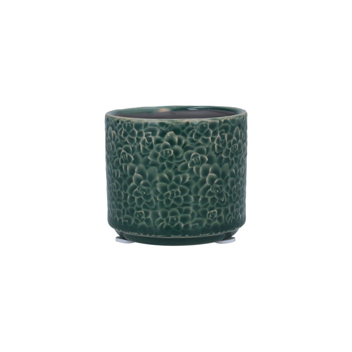 gisela graham Mini Ceramic Pot Cover - Green Succulents