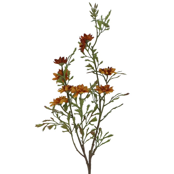 gisela graham Spray - Antique Yellow & Brown Wild Aster