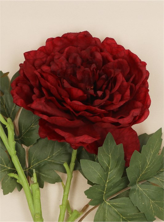 Gisela Graham Stem - Antique Burgundy Peony With Bud Stem