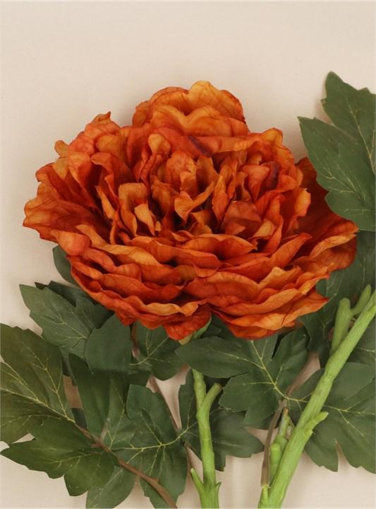 Gisela Graham Stem - Antique Orange Peony With Bud Stem