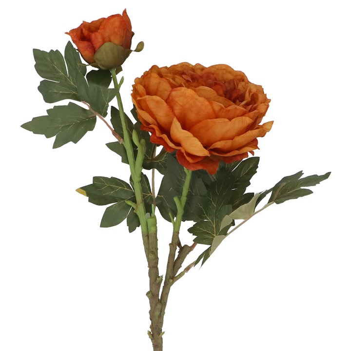 gisela graham Stem - Antique Orange Peony with Bud Stem