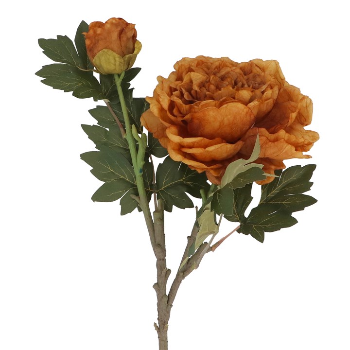 gisela graham Stem - Antique Yellow Peony with Bud Stem