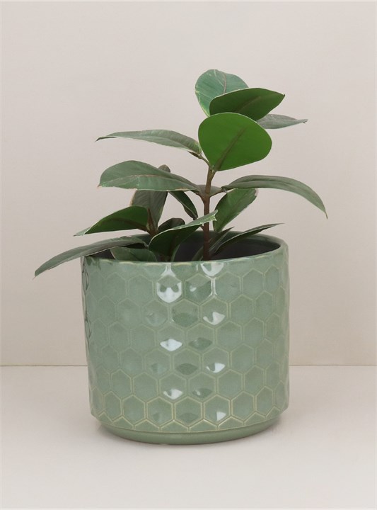Gisela Graham Stoneware Pot Cover - Seafoam Honeycomb Medium