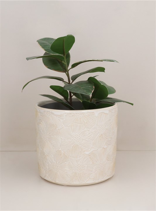 Gisela Graham Stoneware Pot Cover - White Cosmos Medium