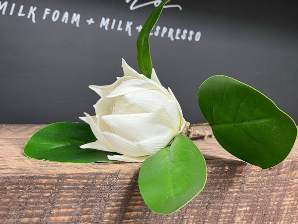 glam style 21"Quality Artificial King Protea Cynaroides-real touch leaf: Natural White