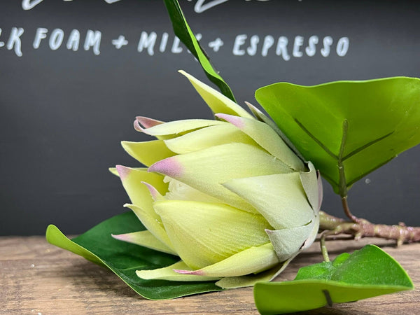 glam style 21"Quality Artificial King Protea Cynaroides-real touch leaf: Frosty Green