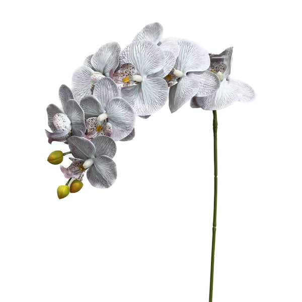 Glam Style 36" Real Touch Phalaenopsis Orchid-Large Bloom 9 Flowers: Natural Fuchsia