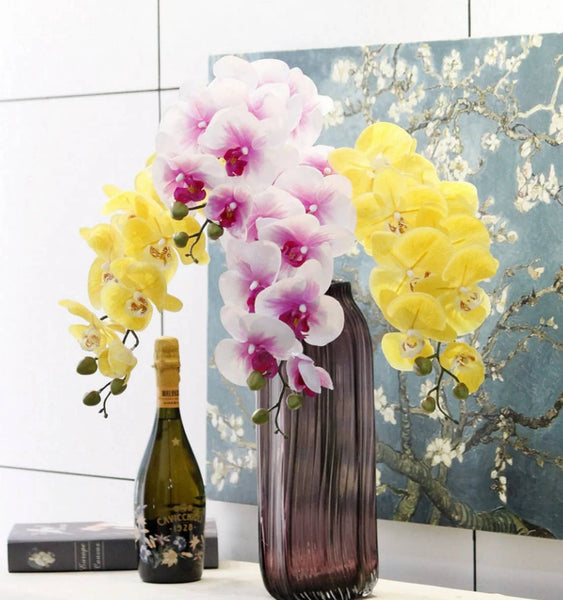 Glam Style 36" Real Touch Phalaenopsis Orchid-Large Bloom 9 Flowers: Natural Fuchsia