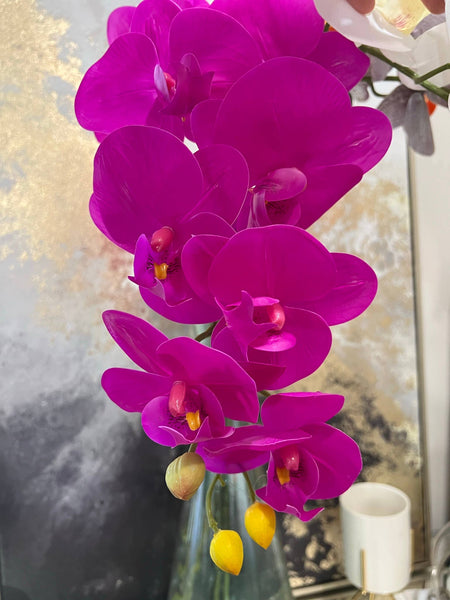 glam style 36" Real touch Phalaenopsis Orchid-Large bloom 9 Flowers: Natural Fuchsia
