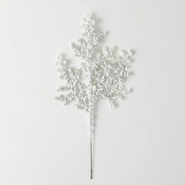 Glam Style Frosted Juniper Berry Pick