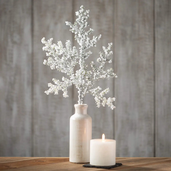 glam style Frosted Juniper Berry Pick