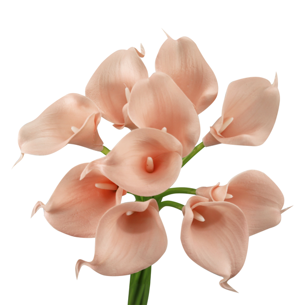 glam style pack of 10 calla lilies-Pink Theme