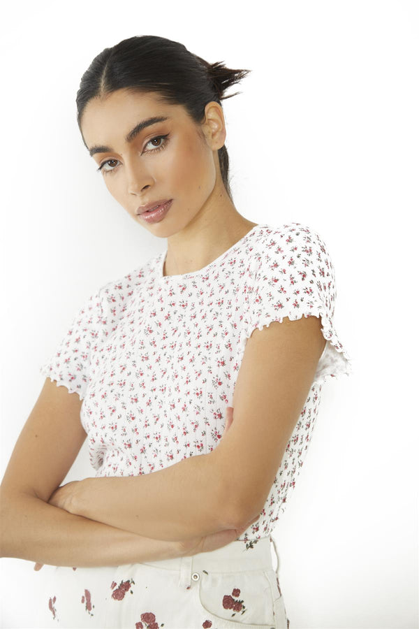 Glamorous White Ditsy Pointelle Floral Lettuce-Hem Short-Sleeve-Top