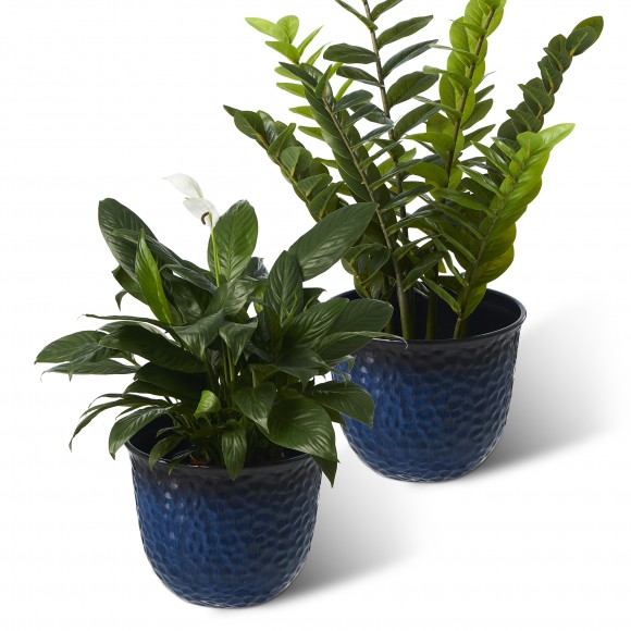 Glitzhome Glitzhome 15.25"D Set Of 2 Honeycomb Textured Cobalt Blue Faux Ceramic Pot Plastic Planter