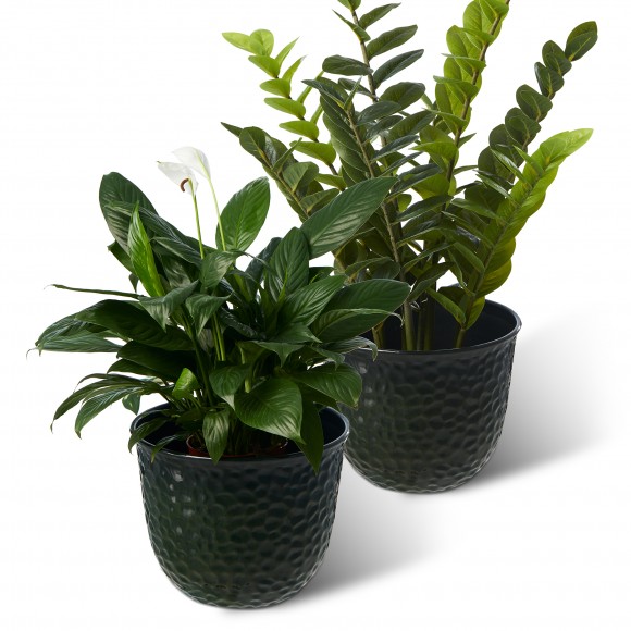 Glitzhome Glitzhome 15.25"D Set Of 2 Honeycomb Textured Green Faux Ceramic Pot Plastic Planter