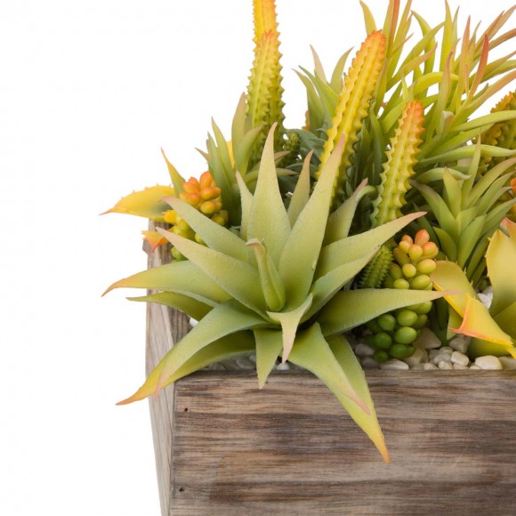 Glitzhome Glitzhome 6.25"H Succulent Plants In Wooden Box