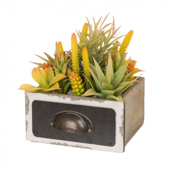 glitzhome Glitzhome 6.25"H Succulent Plants in Wooden Box