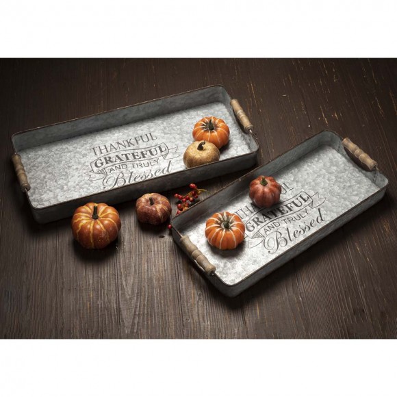 Glitzhome Glitzhome Iron Rect Galvanized Tray Harvest Decor Set Of 2