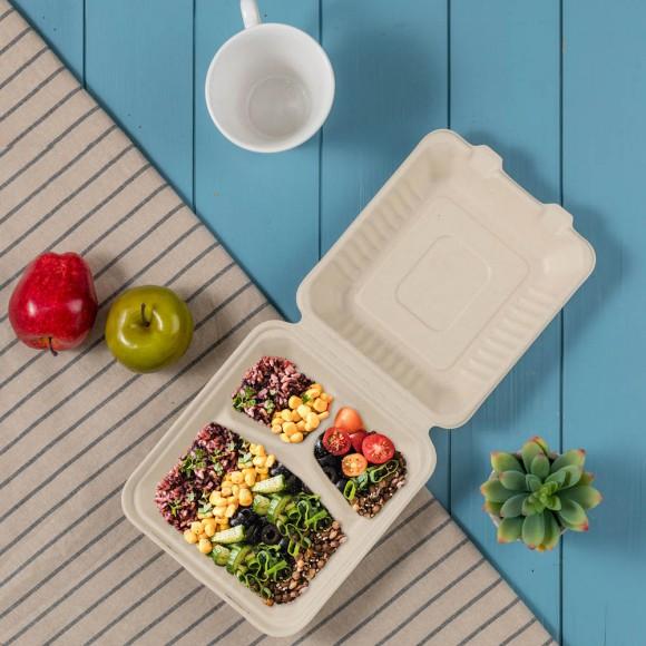 Glitzhome Oak PLUS 8 Inch Natural Compostable & Disposable Sugarcane Sectional Clamshell Containers 300 Pack