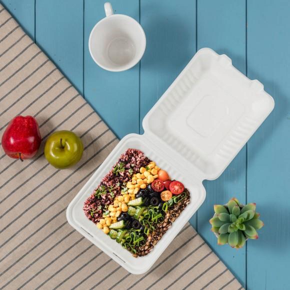 Glitzhome Oak PLUS 8 Inch White Compostable & Disposable Sugarcane Clamshell Containers 300 Pack