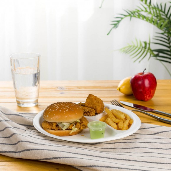 Glitzhome Oak PLUS 9 Inch White Compostable & Disposable Sugarcane Sectional Plates 300 Pack