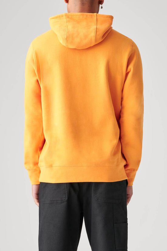 Globe Peeking Out Hoodie - Zest