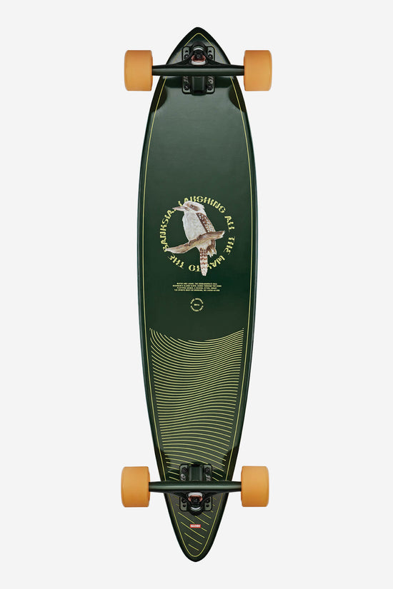 globe Pintail 37 - Kookaburra