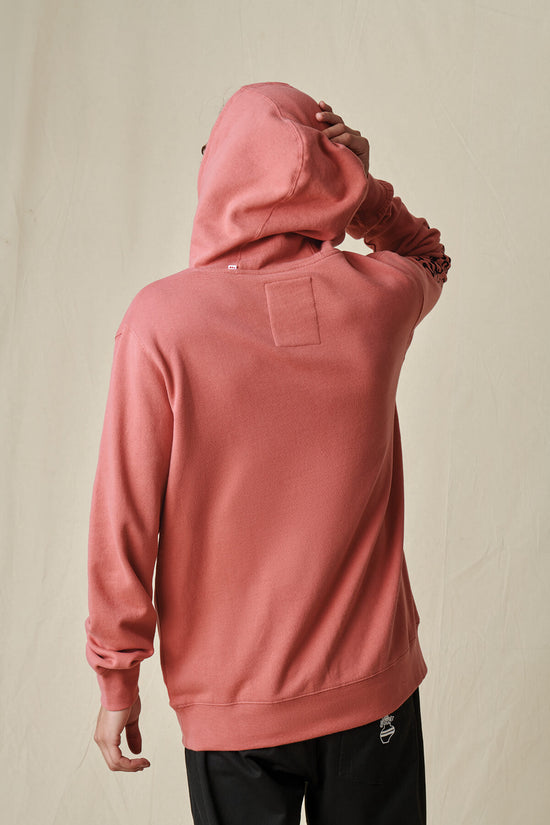 Globe The Physics Hoodie - Red Smoke
