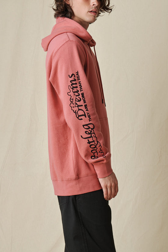 Globe The Physics Hoodie - Red Smoke