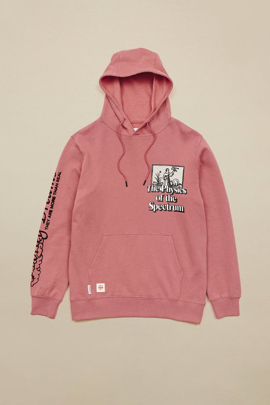 Globe The Physics Hoodie - Red Smoke