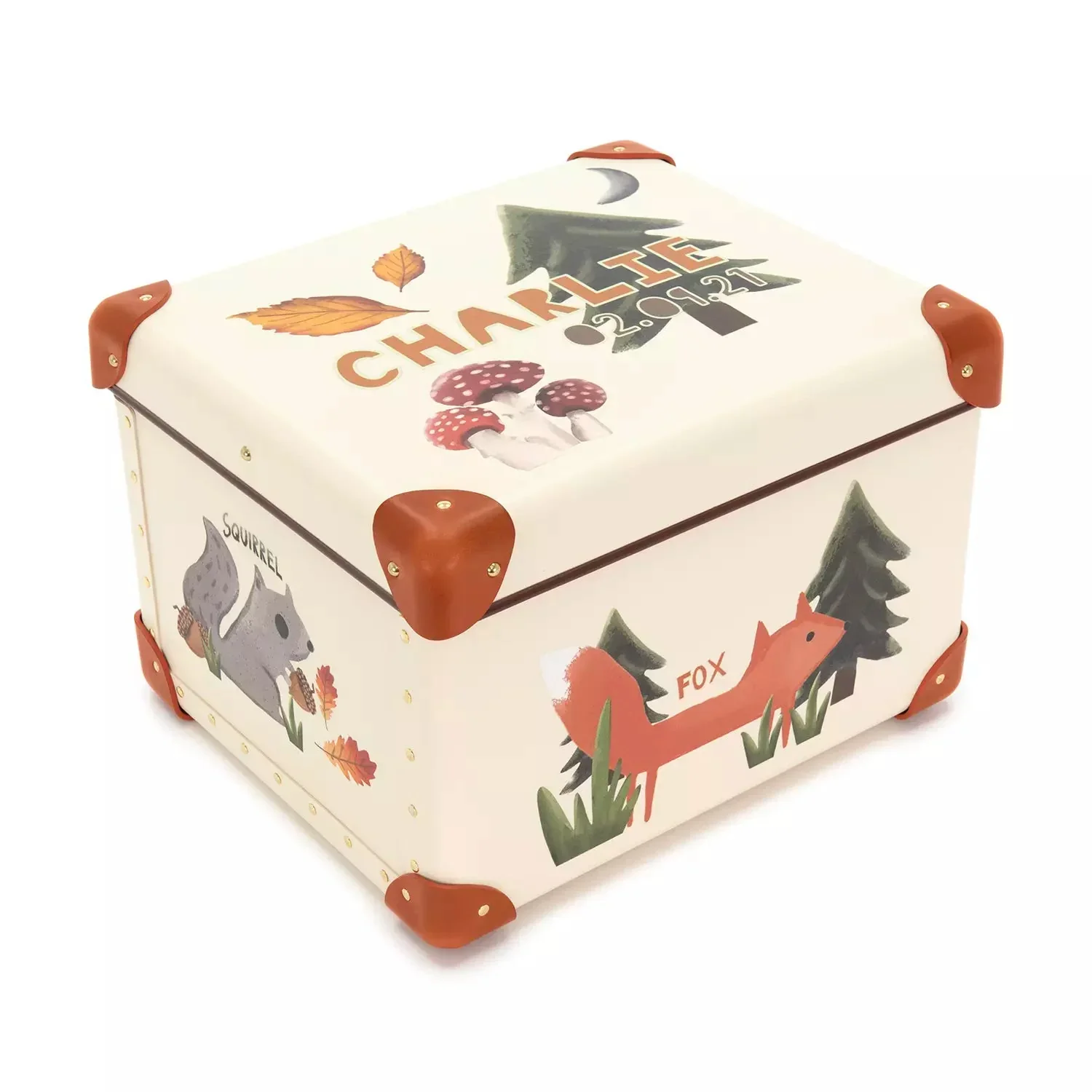 globe trotter Occasions Childrens Storage Box