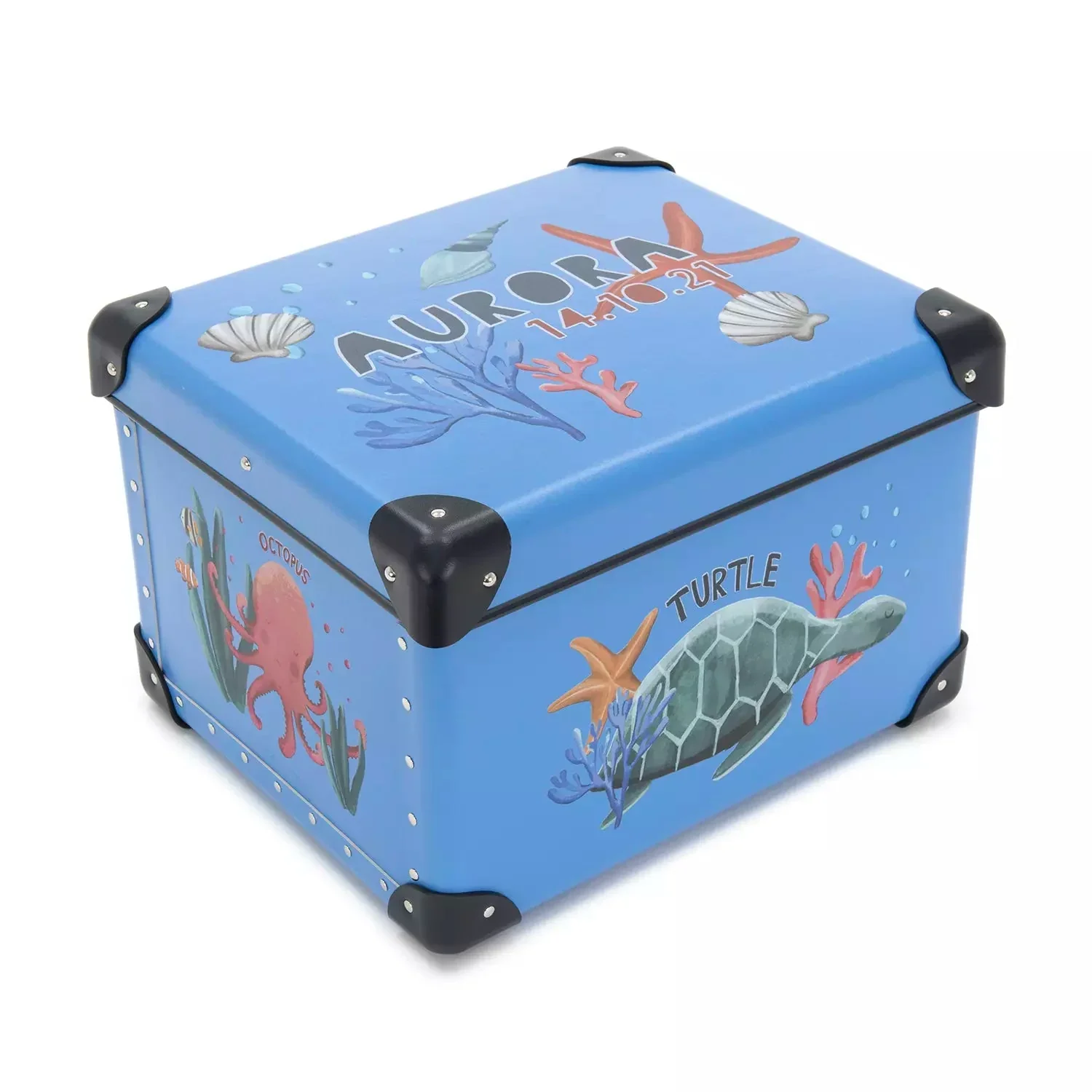 globe trotter Occasions Childrens Storage Box