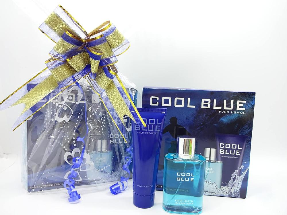 globe trotter Father's Day Cool Blue 2pc Perfume Gift Set 100 ml EDT and 130 ml luxury shower gel Gift Hamper For Dad
