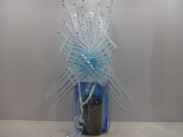 Globe Trotter Ice Blue Man Edt 100ml Father's Day Perfume For Dad + Free Manicure Set For Him Gift Wrapped Gift Hamper