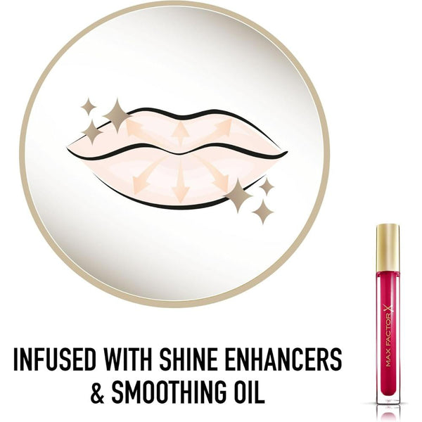Globe Trotter Max Factor Colour Elixir Lip Gloss Shine Enhancers And Smoothing Oil Polished Fuchsia 6