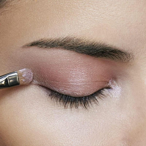 Globe Trotter Maybelline Total Temptation Eye Shadow Palette 12 G