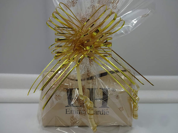 Globe Trotter Professional Nail Care & Pedicure Kit With Luxury Travel Case Emma Hardie Make Up Bag Hamper