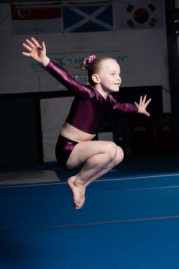 Gmd Burgundy Shine Lycra Long Sleeve Crop