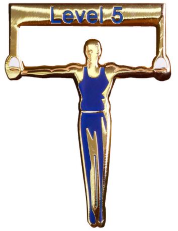 gmd Men's Level 5 Gymnastics Pin