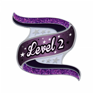 Gmd Purple Swirl Level Pin
