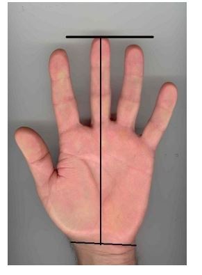 Gmd Reisport Hyper ProTec Men's Ring Buckle Guards