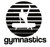 Gmd Stone Washed Tee Pommel Horse