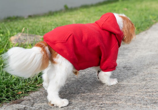 gmd Your best friend's Dog Hoodie