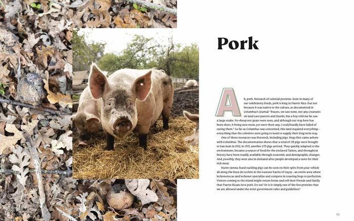 Gneiss Spice Diasporican: A Puerto Rican Cookbook By Illyanna Maisonet