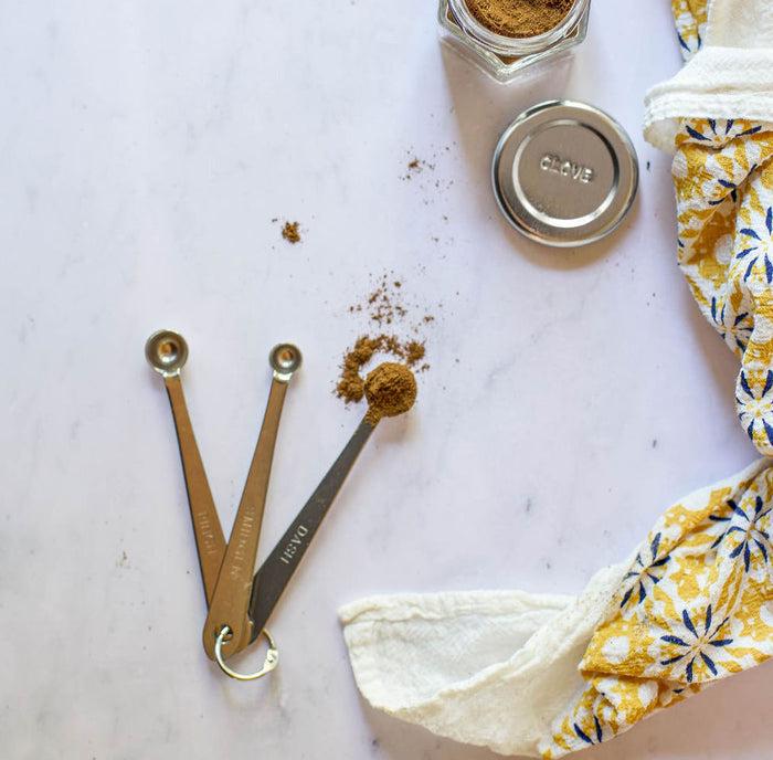 Gneiss Spice Mini Measuring Spoons