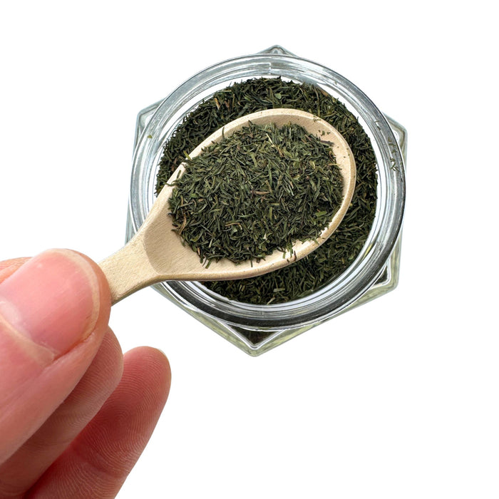 Gneiss Spice Spice Spoon - Solid Brass